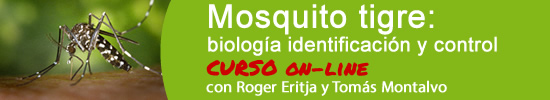 curso mosquito tigre